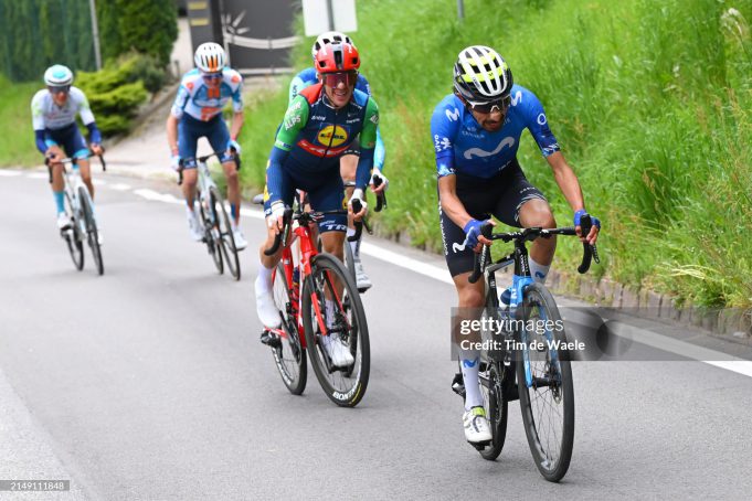 Escarabajos escalan en los Alpes
