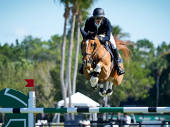 Mark Bluman y Landon volaron en el WEF Challenge Cup
