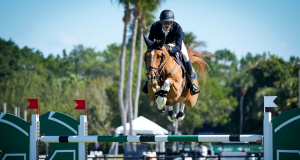 Mark Bluman y Landon volaron en el WEF Challenge Cup